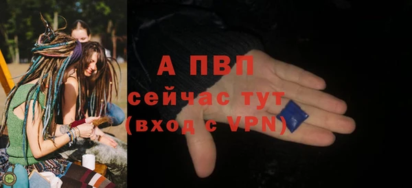 стафф Елизово