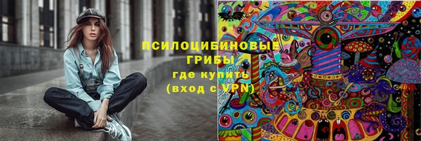 дмт Заволжск