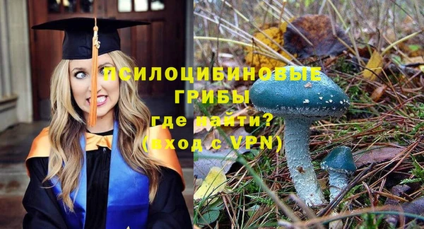 дмт Заволжск